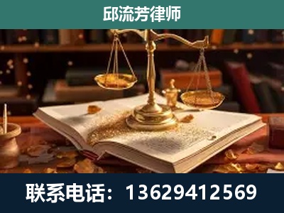 西秀-刑事案件
